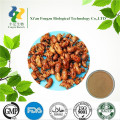 Periostracum Cicadae Extract Powder